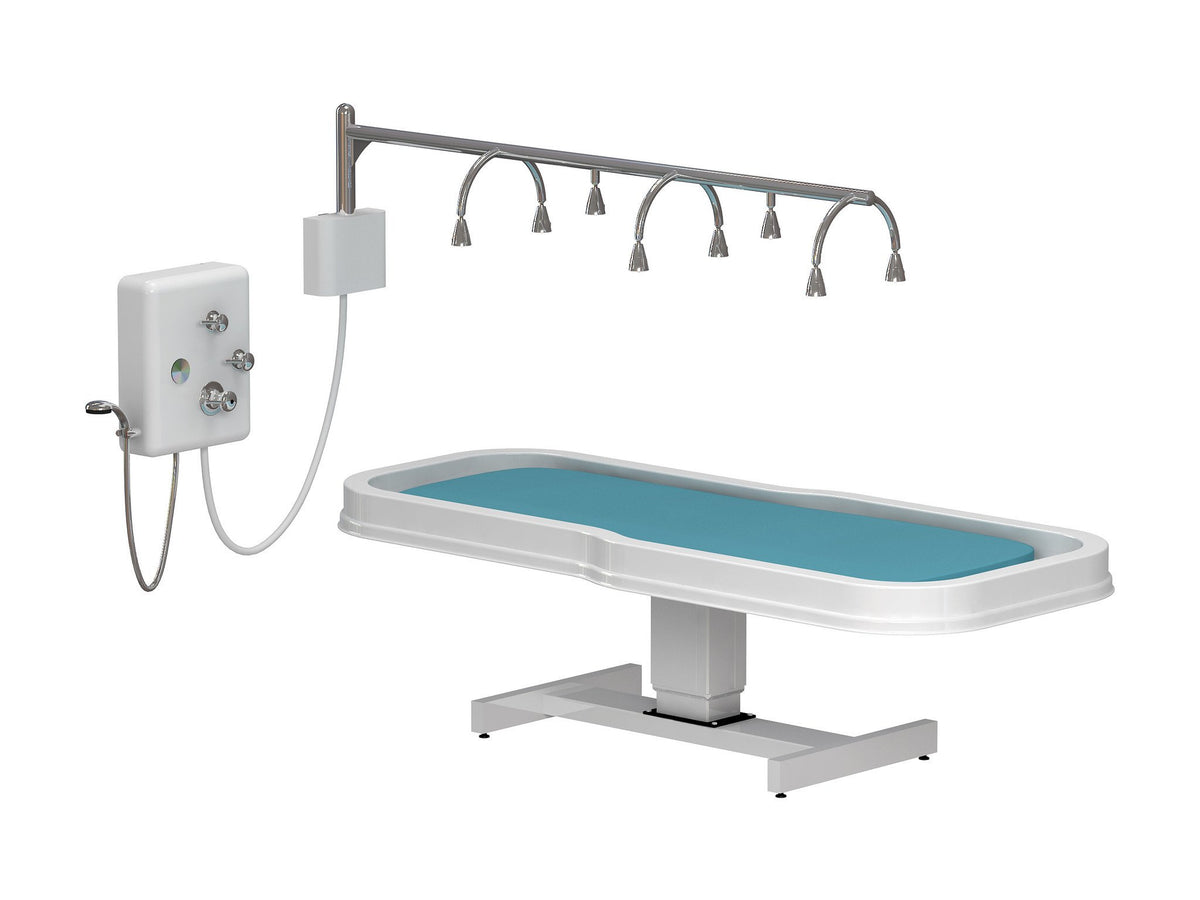 Touch America Touch America Neptune Battery Vichy Shower &amp; Wet Table Package Deal Wet Tables &amp; Showers - ChairsThatGive