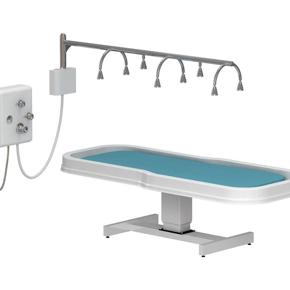 Touch America Touch America Neptune Stationary Vichy Shower &amp; Wet Table Package Deal Wet Tables &amp; Showers - ChairsThatGive